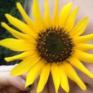 Meet your Posher, Jessie